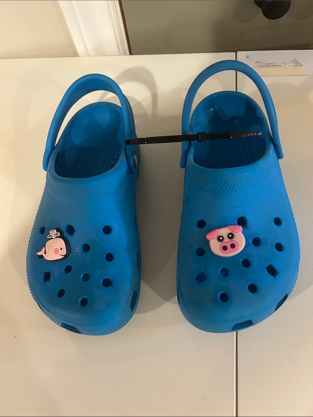 Crocs Kids Blue Clog Sandals with Charms